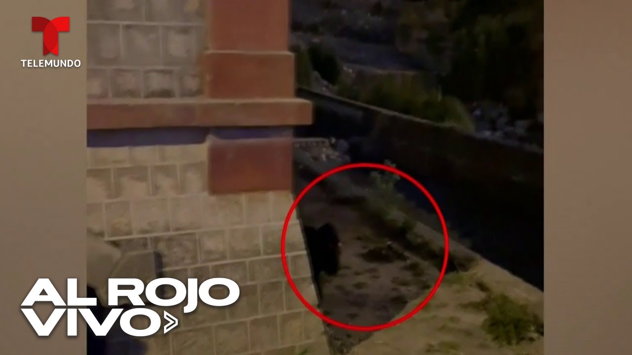 Bolivia: Vecinos aseguran que una bruja voladora habita en un bosque