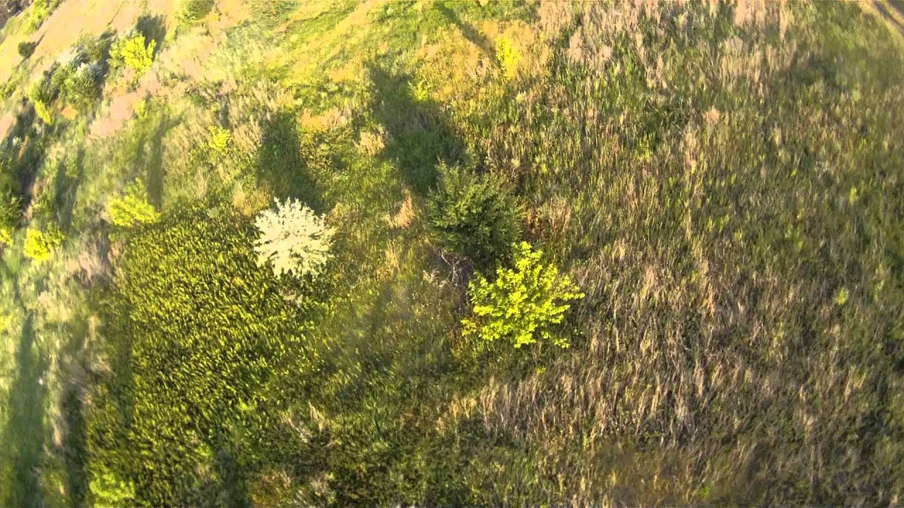 qav250 Первый полет