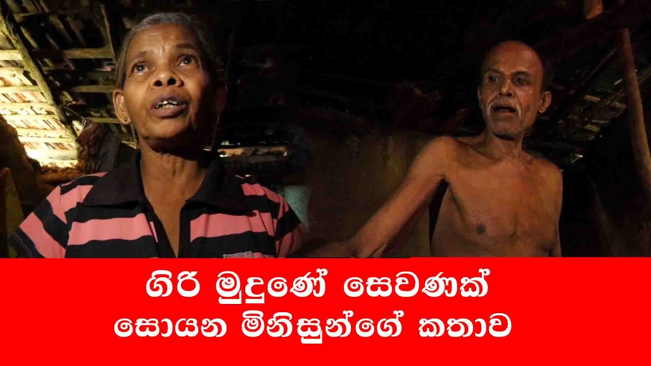 ගිරි මුදුණේ සෙවණක් සොයන දිරිය මිනිසුන්ගේ අඩහැරය