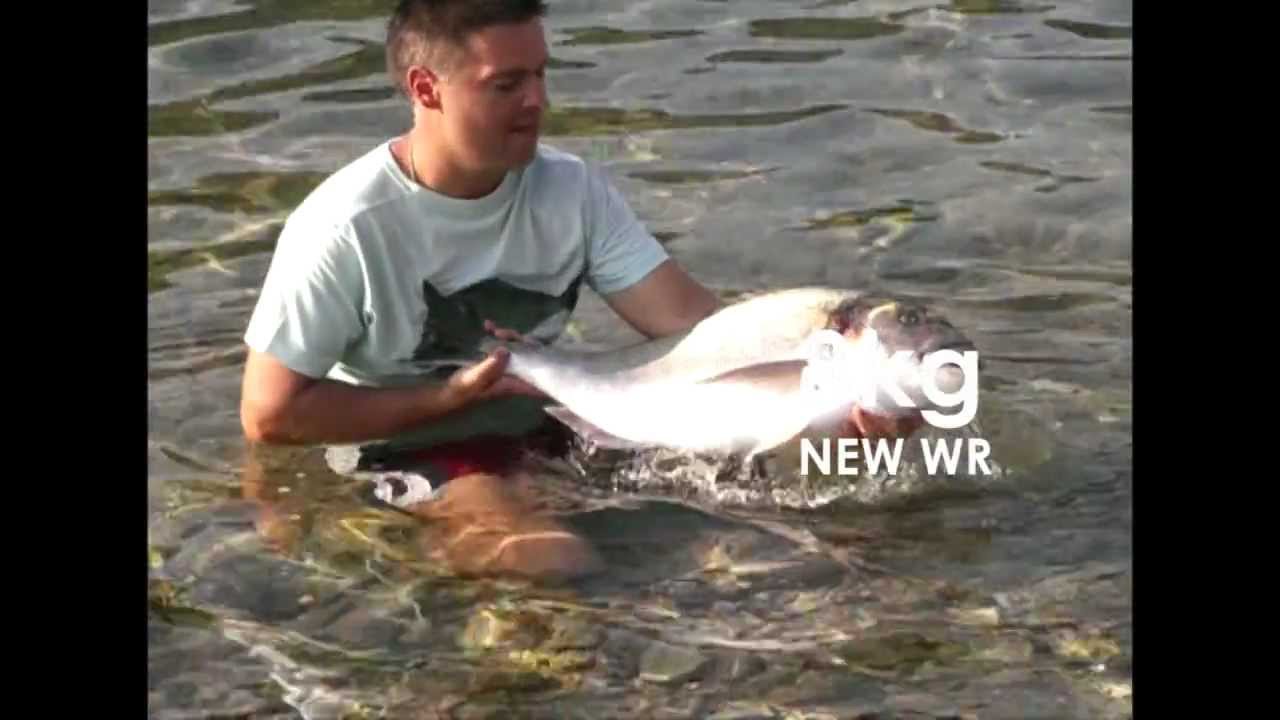 ribolov orada orade 8kg, 5kg