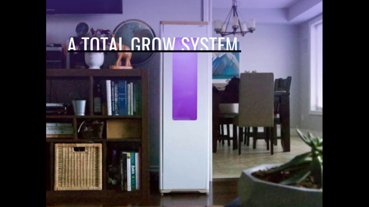 Grobo One Automated Hydroponic Stealth Grow Box Uses Deep Water Culture Grow Method