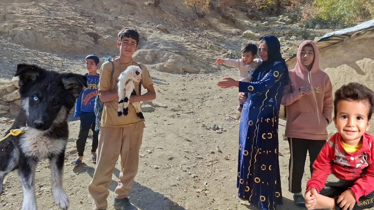 Living in a small hut and having sheep and being sick in the country and giving birth to a goat🐐