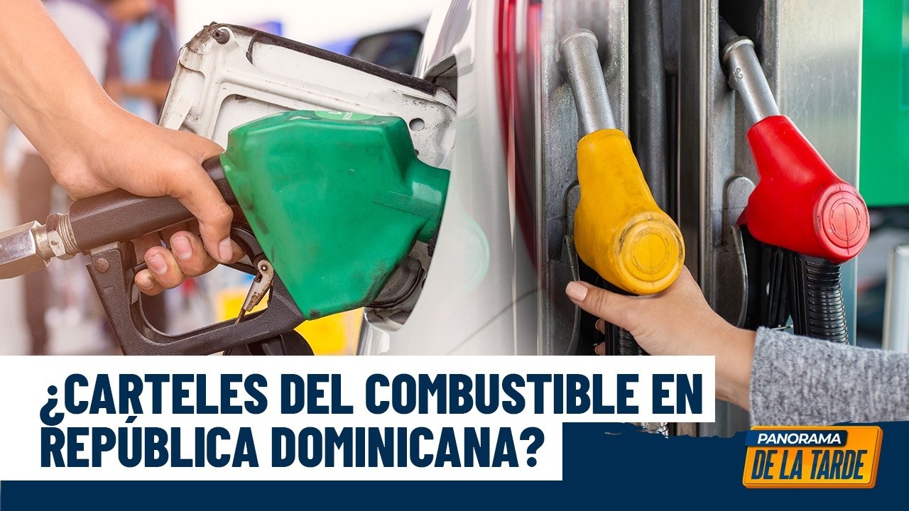 ¿Carteles de combustible en la RD? Adrián Lebrón revela todo y Danylsa truena por los consumidores