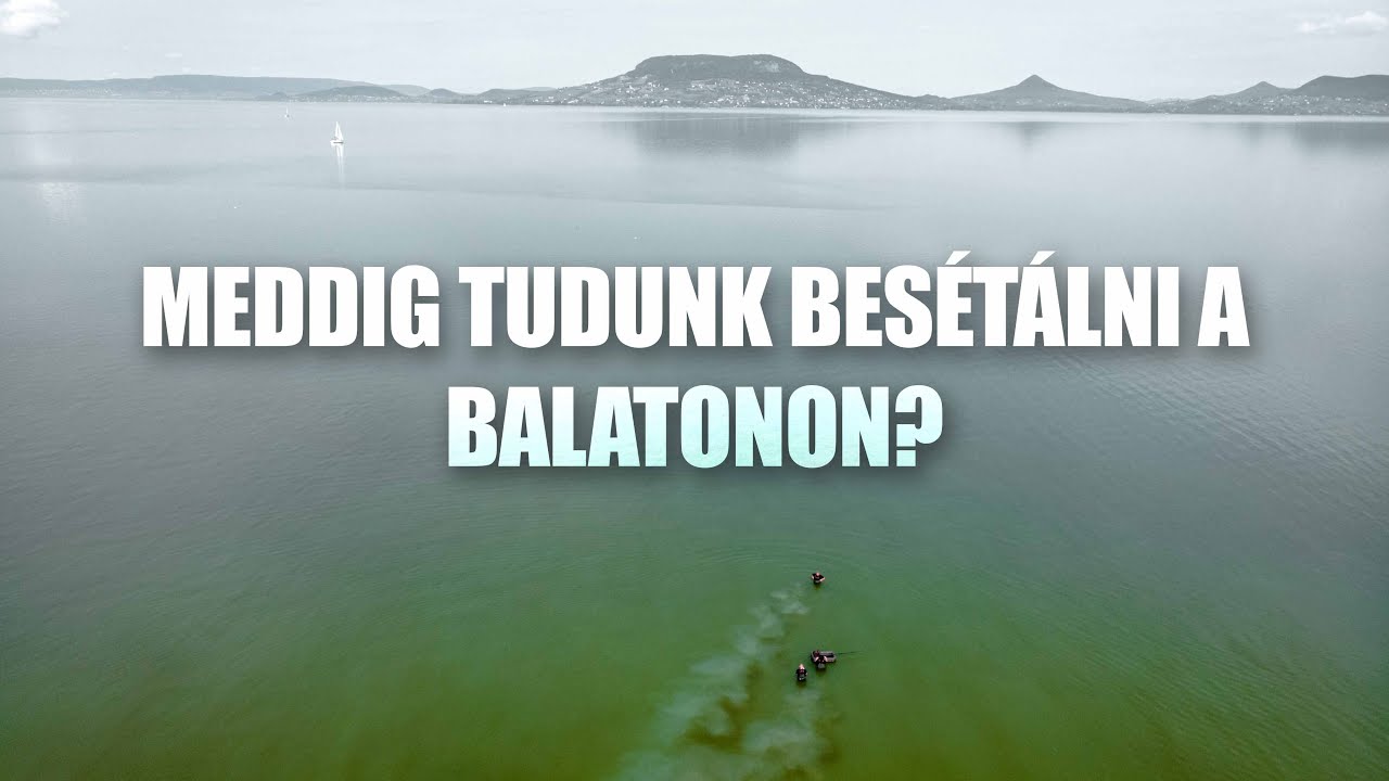 Meddig Tudunk Besétálni a Balatonon? - Pontyok dobós távon