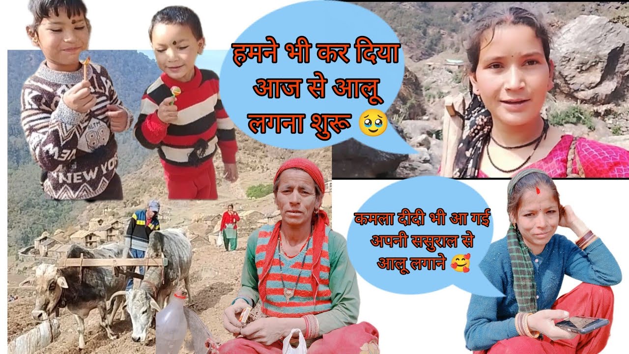 हम भी चले गए आज से आलू लगाने 🥰 please subscribe me youtube channel 🙏😊 Uma phadi vlogs 🤗