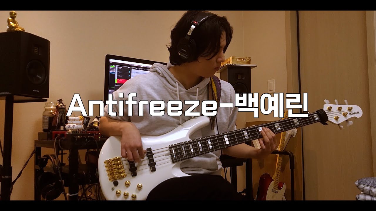 백예린 - Antifreeze (Bass-cover) #백예린 #yerinbaek #antifreeze #volunteers #베이스 #bass #커버 #cover