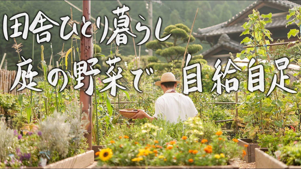 【田舎ひとり暮らし】朝5時に起きて庭の夏野菜で朝食を作る心地よい習慣 #110