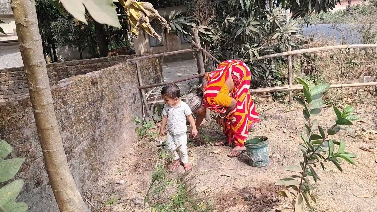 ঠাকুমার সাথে গাছপালা দেখছে।