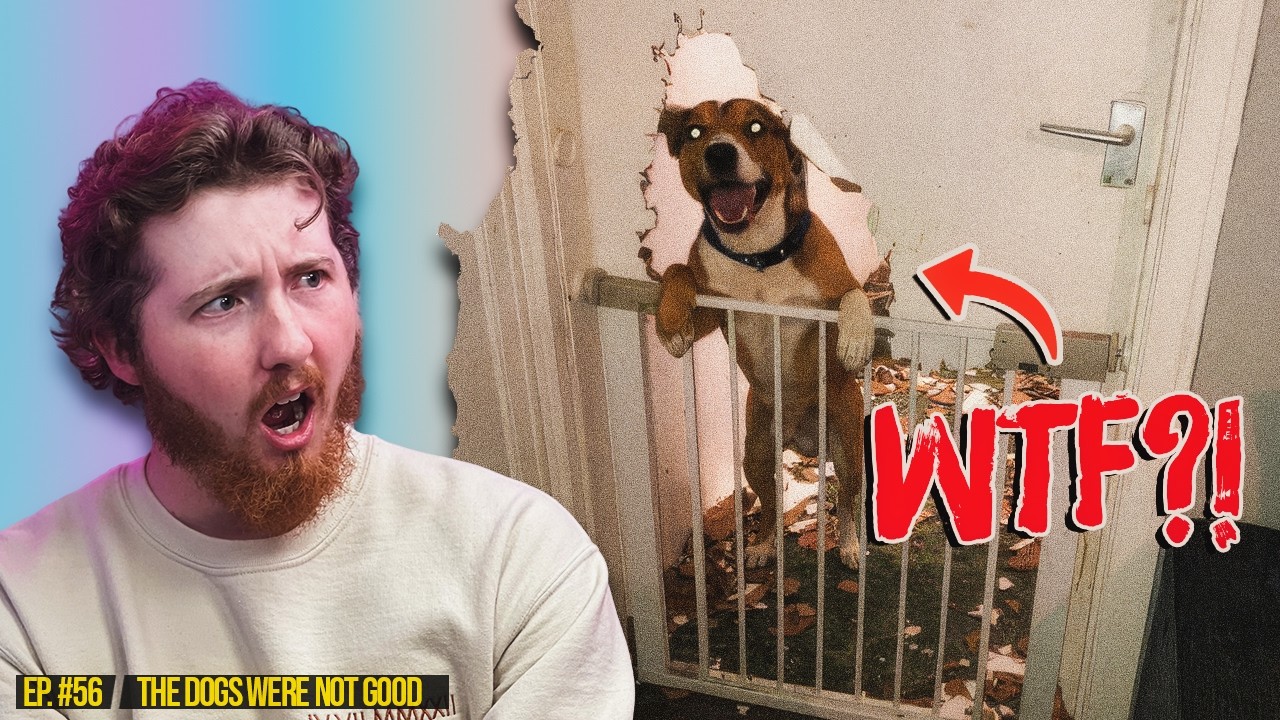 The Dogs Were NOT GOOD This Week