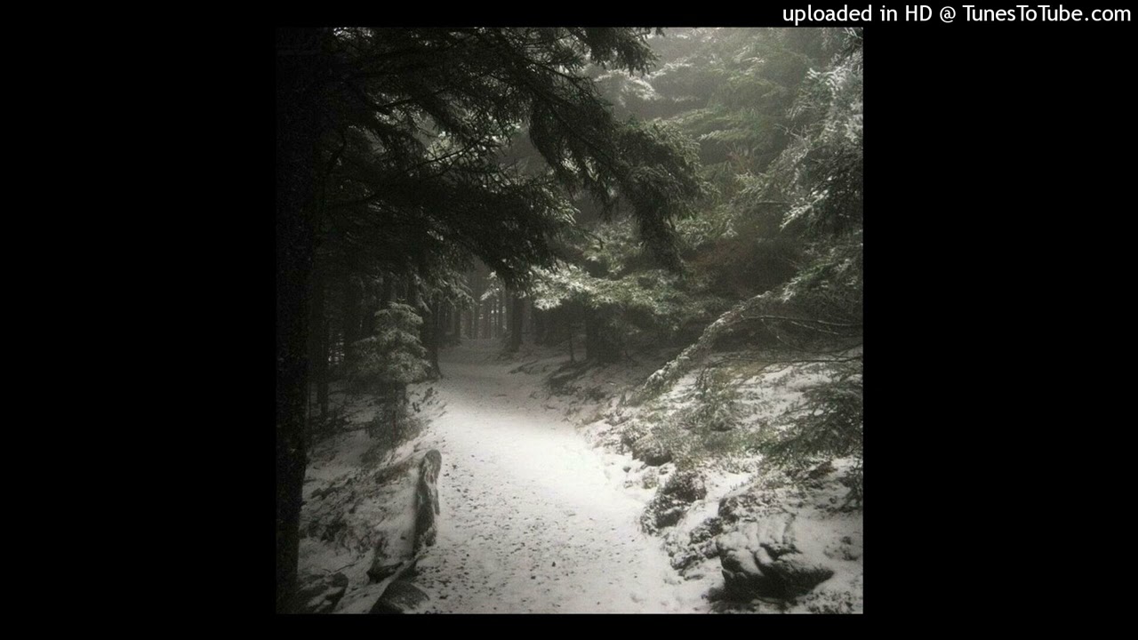 (free) izaya tiji + wifi + ambient type beat 
