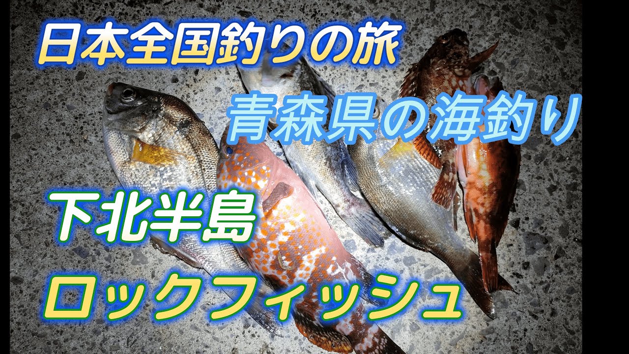 必釣ロックフィッシュ「青森県の海釣り・大平漁港、脇野沢漁港、佐井漁港」キャンピングカー車中泊で北海道～沖縄日本全国釣りの旅
