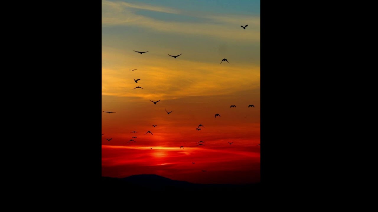 Instru Afro Type Beat TIF  - 