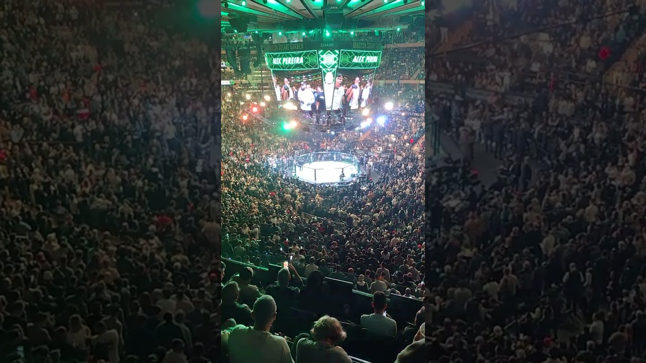 Alex Pereira walkout at UFC 295 (11/11/2023)