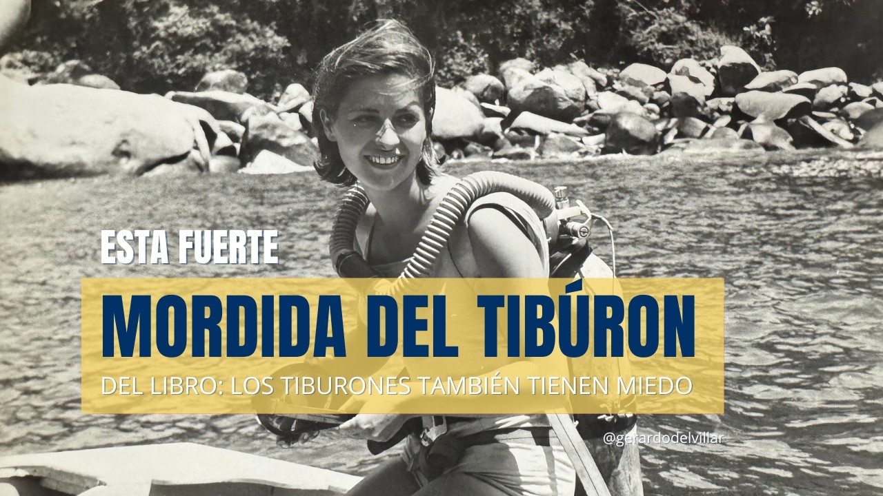 La tormenta que me dio claridad (y el tiburón que cambió mi vida)