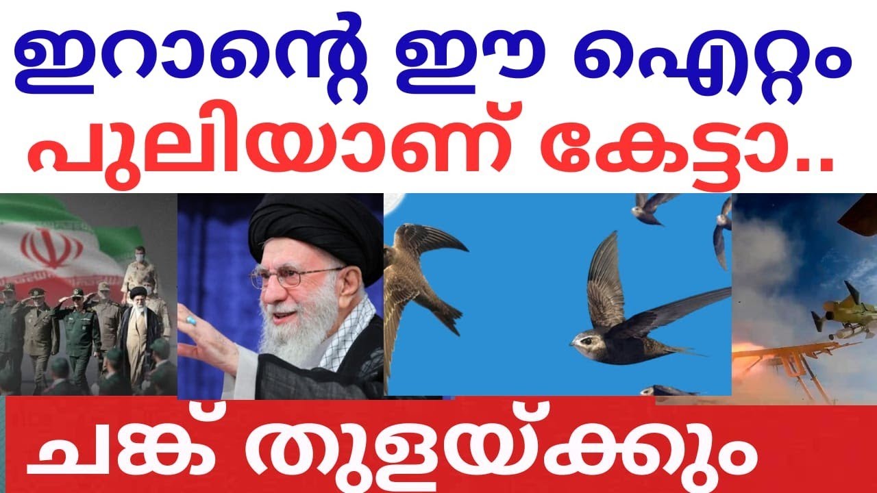 അമേരിക്കൻ കപ്പൽപ്പടയെ തുരത്താൻ വെട്ടുക്കിളിക്കൂട്ടം | America Iran War Updates |