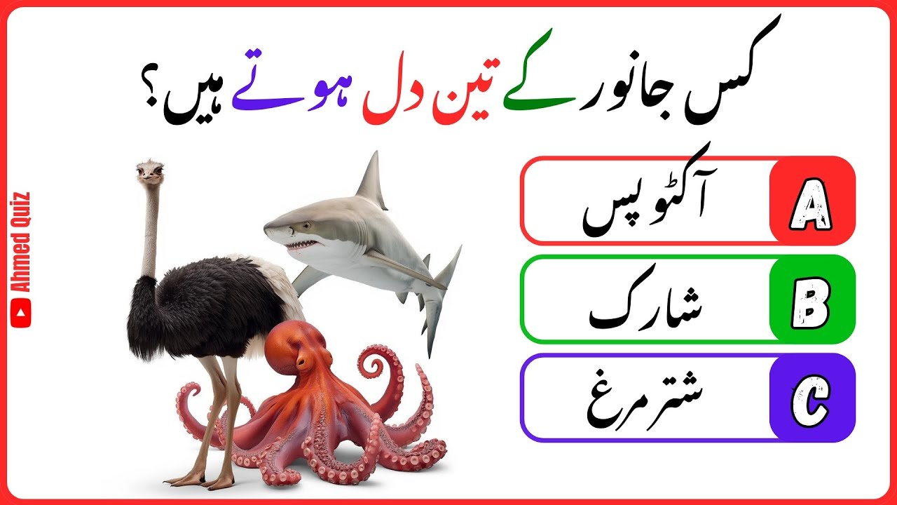 General Knowledge Quiz in Urdu | GK Questions | Interesting Facts | Urdu Quiz