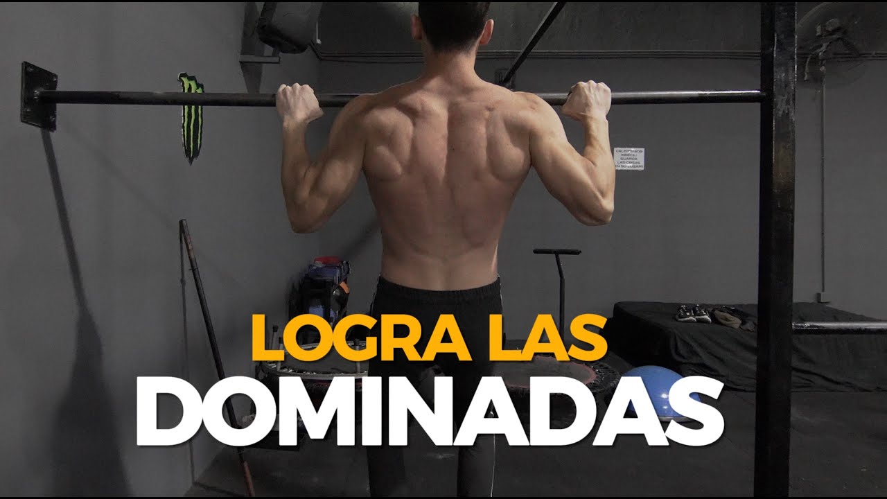 Domina los 4 pilares de la Calistenia - Tracción Empuje Core y Piernas