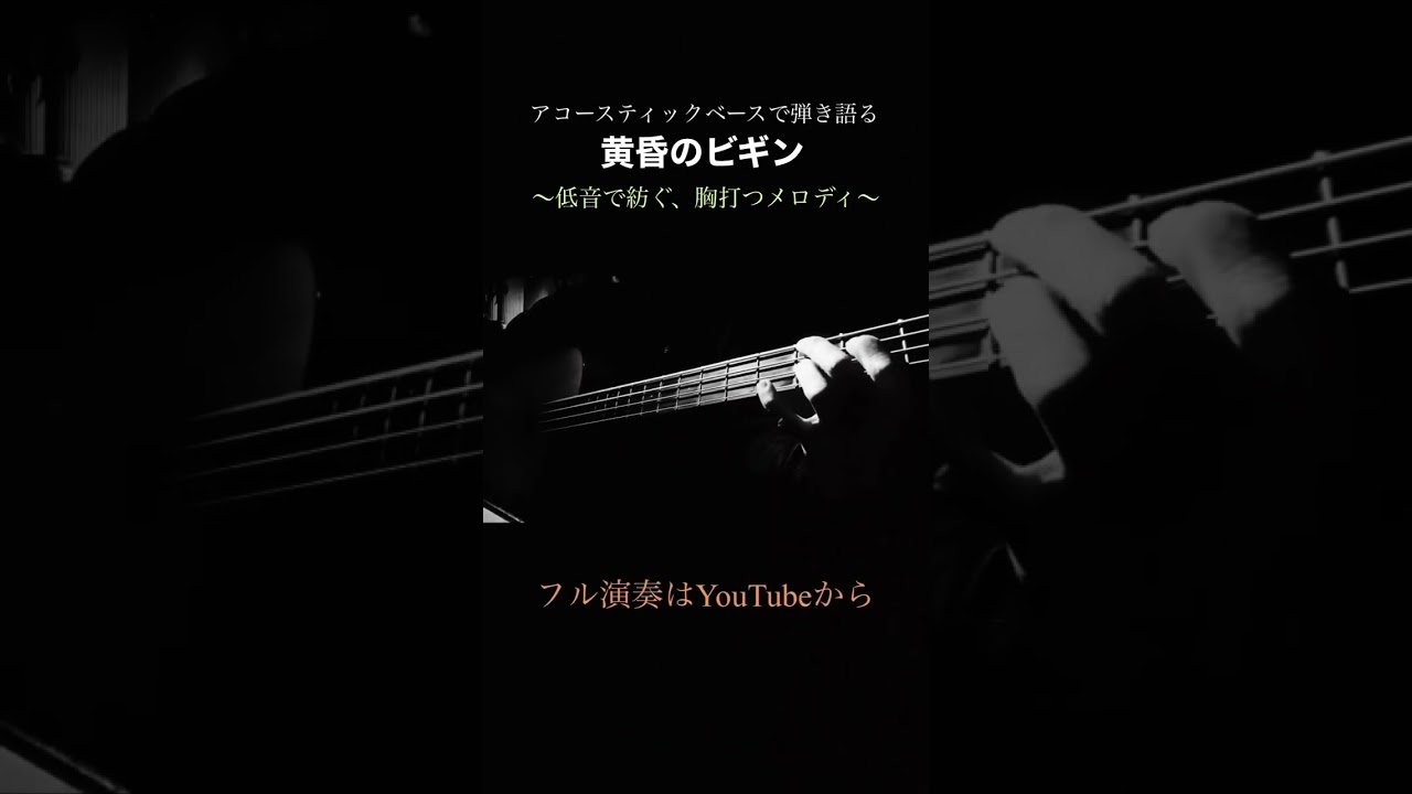 【日本の名曲】黄昏のビギン/水原弘・ちあきなおみ ベース弾き語り
