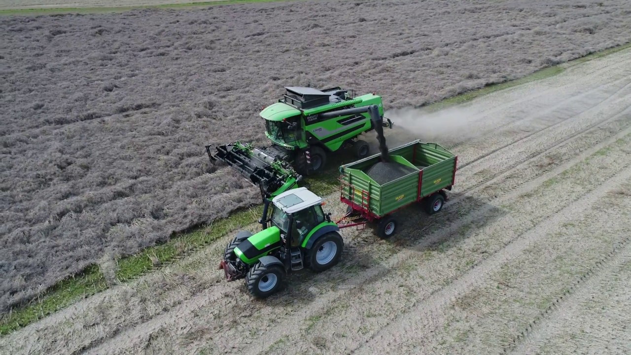 Raps dreschen 2017 mit Deutz Fahr C7205 T5 //4K//