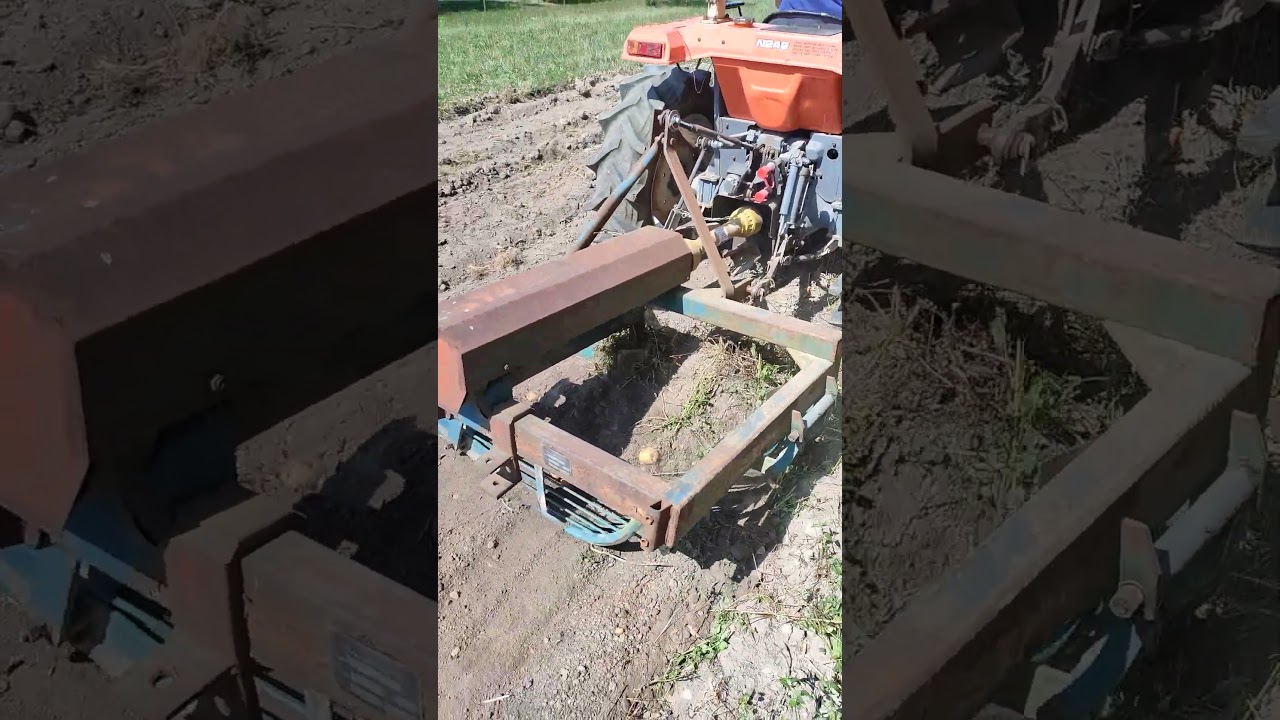 Hinomoto N249 - vyor&aacute;v&aacute;n&iacute; brambor 2024 #hinomoto #kubota #potato #harvest #tractor #iseki