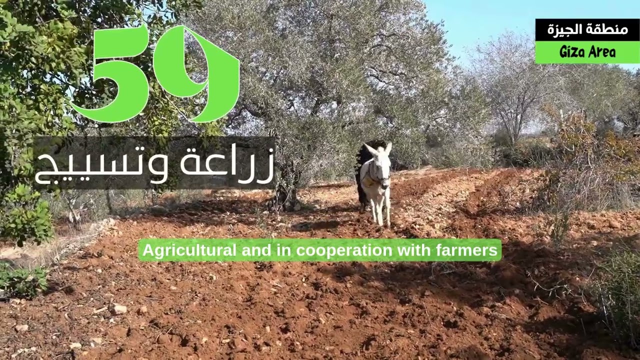 الاكتفاء الذاتي في قرية فرخة - نزرع غذائنا .. نحصد حريتنا