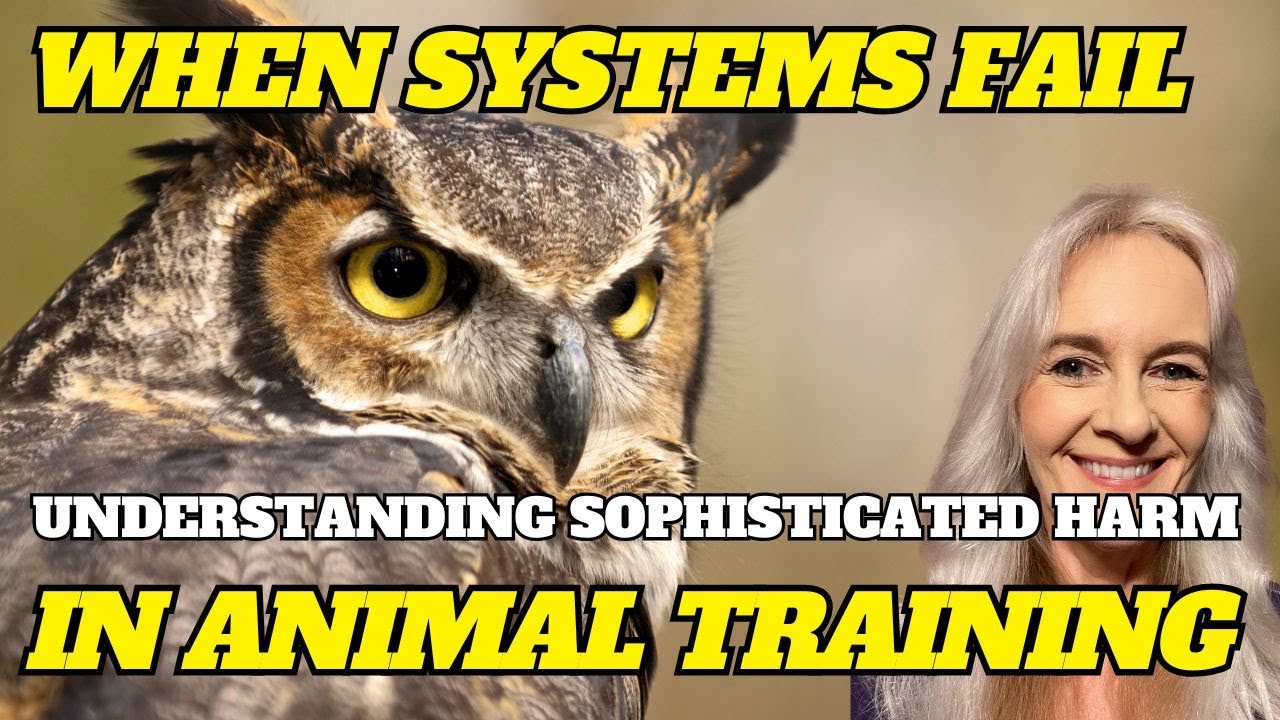 When Systems Fail: Understanding Sophisticated Harm in Animal Training