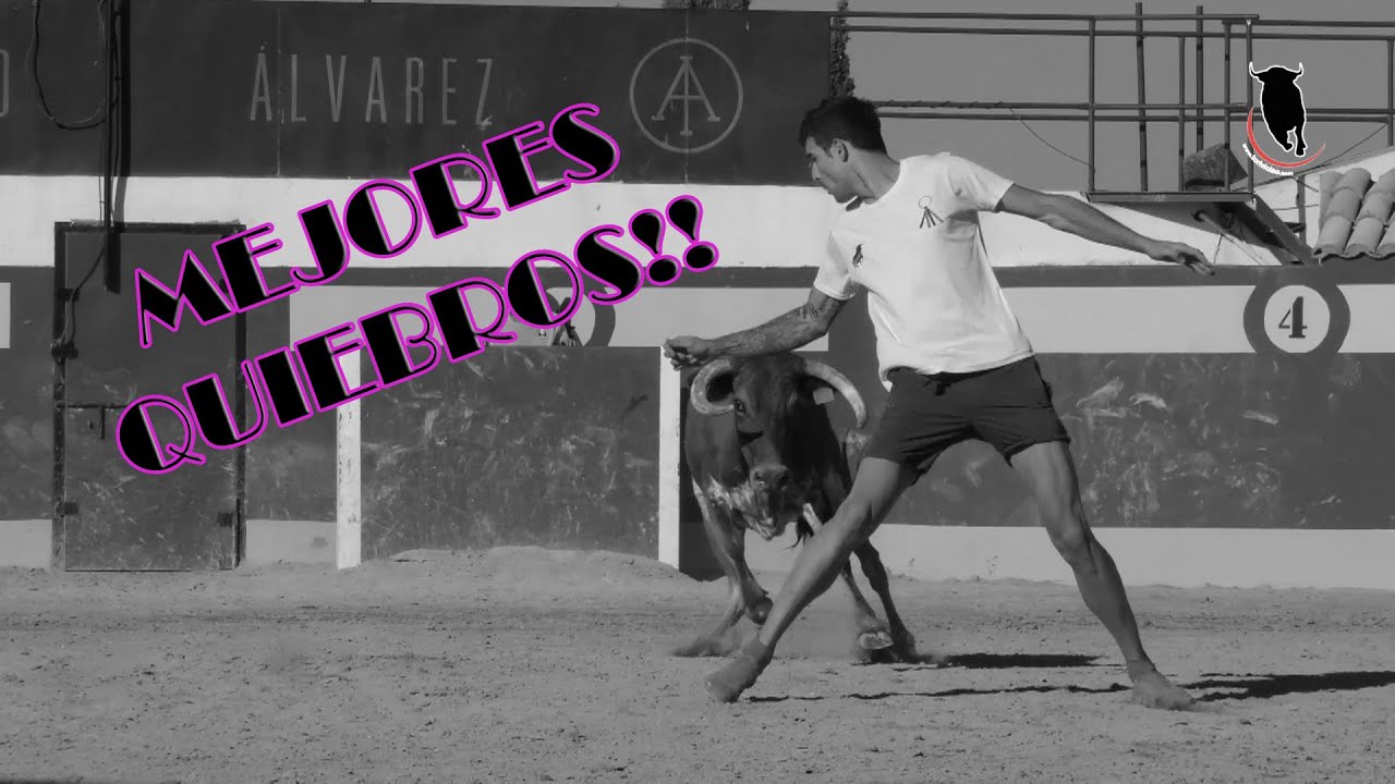 ✅ ESTOS SON LOS MEJORES QUIEBROS👌🏽 ZONA NORTE DE 2021