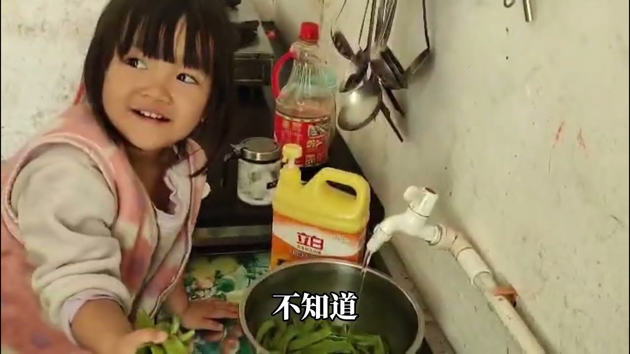 223:2026年3月17日