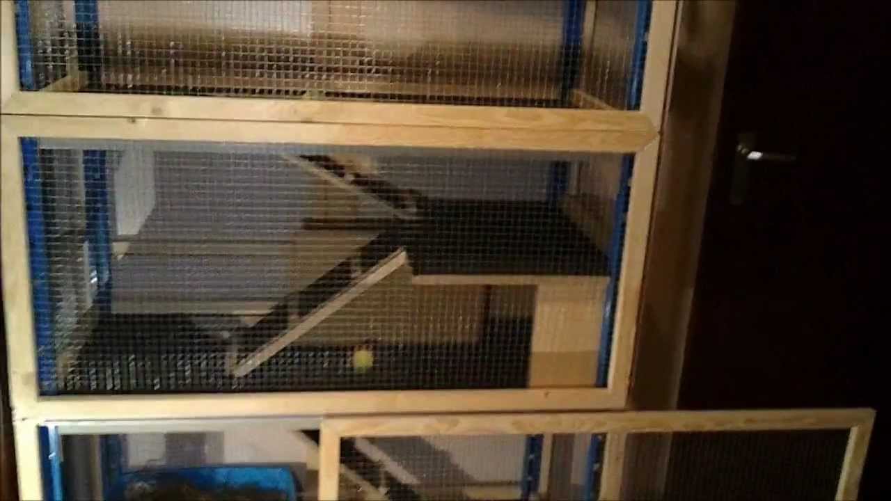 A 4 floor indoor rabbit condo