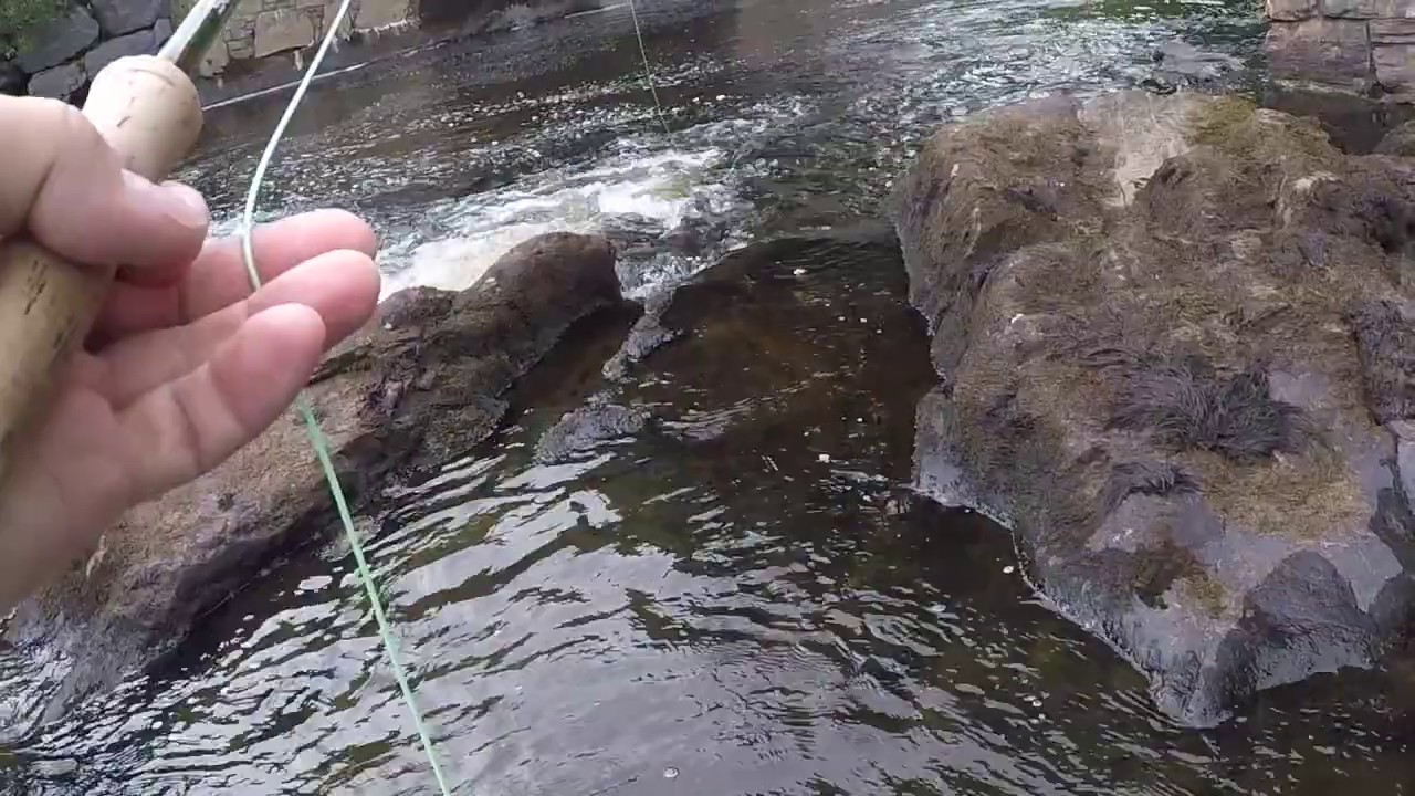 Low Water Grilse Fishing