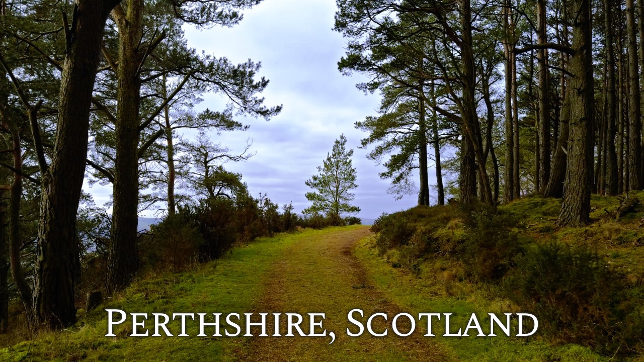 Relaxing Walk in the Perthshire Hills on a Cloudy Morning | 4K Binaural Audio