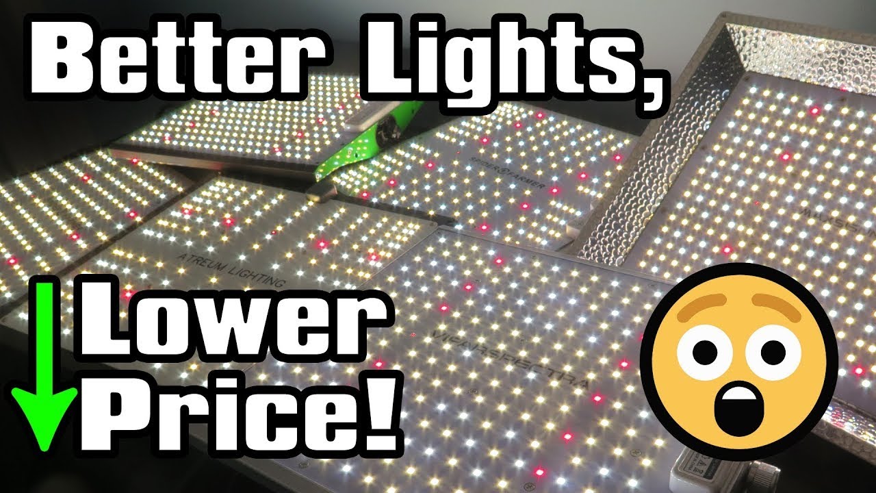 BudgetPremium LED Grow Light UPDATE! Atreum, ViparSpectra, Maxsisun, SpiderFarmer, MarsHydro Review