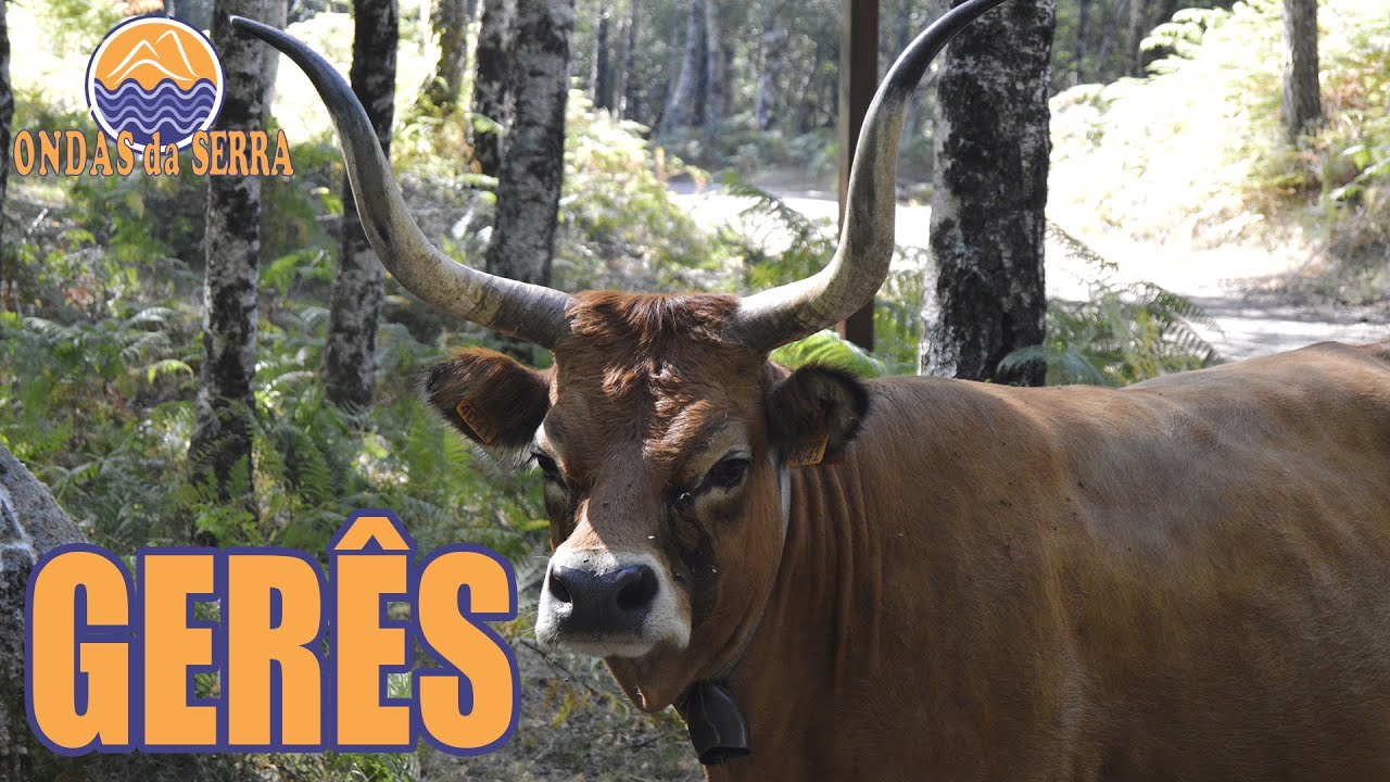 Gerês - Serra de Portugal
