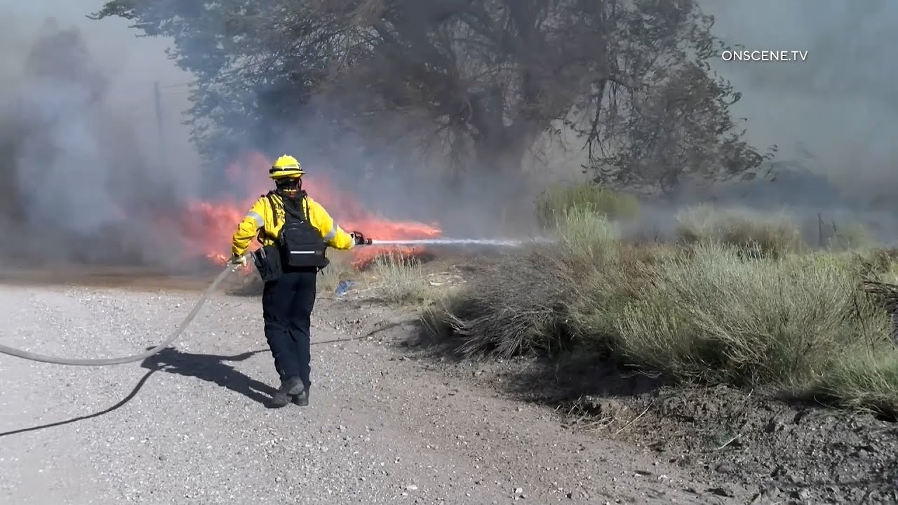 Ellie Brush Fire In Palmdale, CA