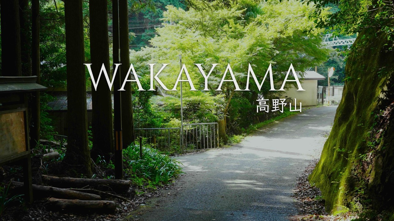 【関西屈指の秘境駅】高野山中を歩いた先に日本が誇る聖地が待っていた！