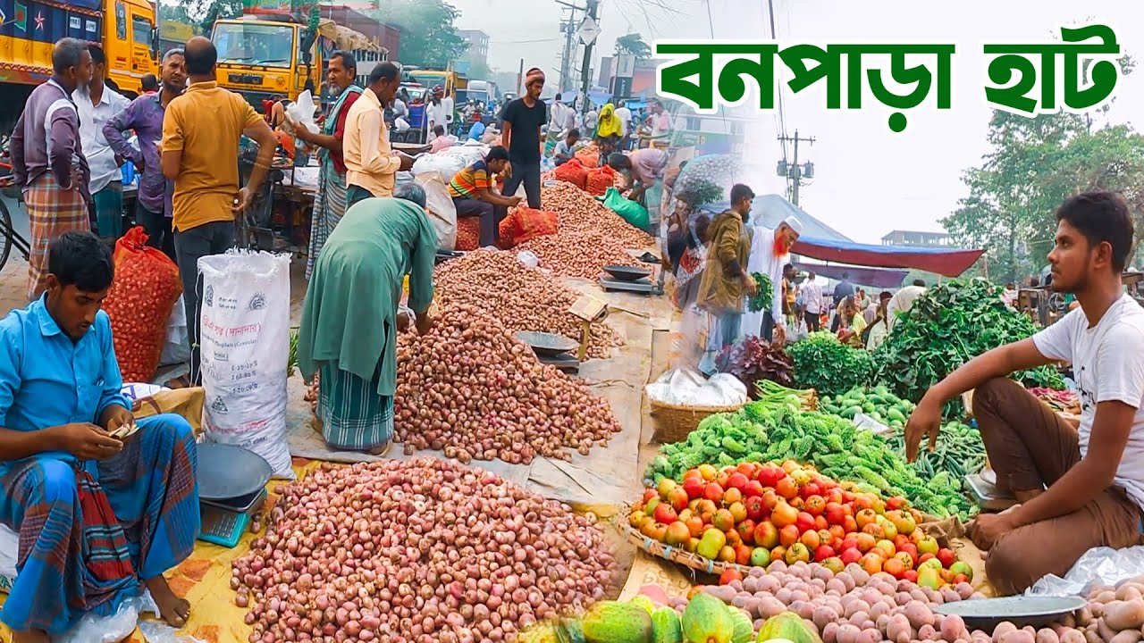 নাটোরের বনপাড়া হাট || Panorama Documentary