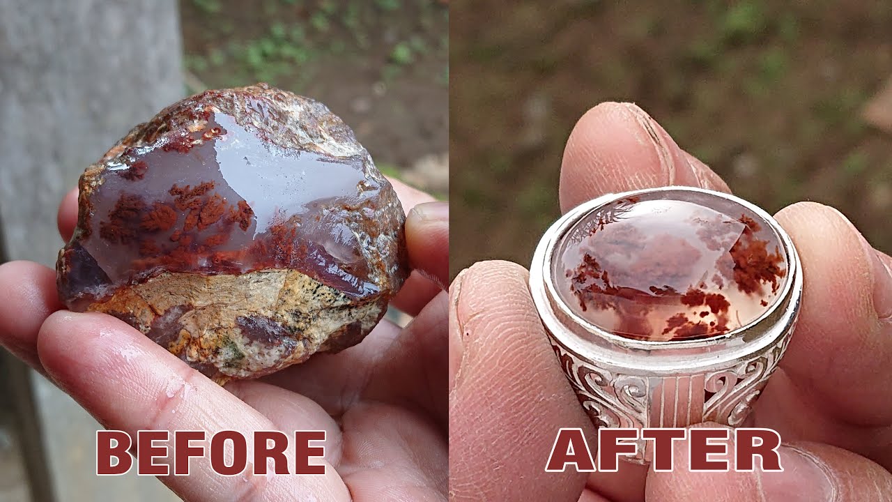 Mengolah dan gosok bahan lumut merah Aquarium by IN diy tutorial