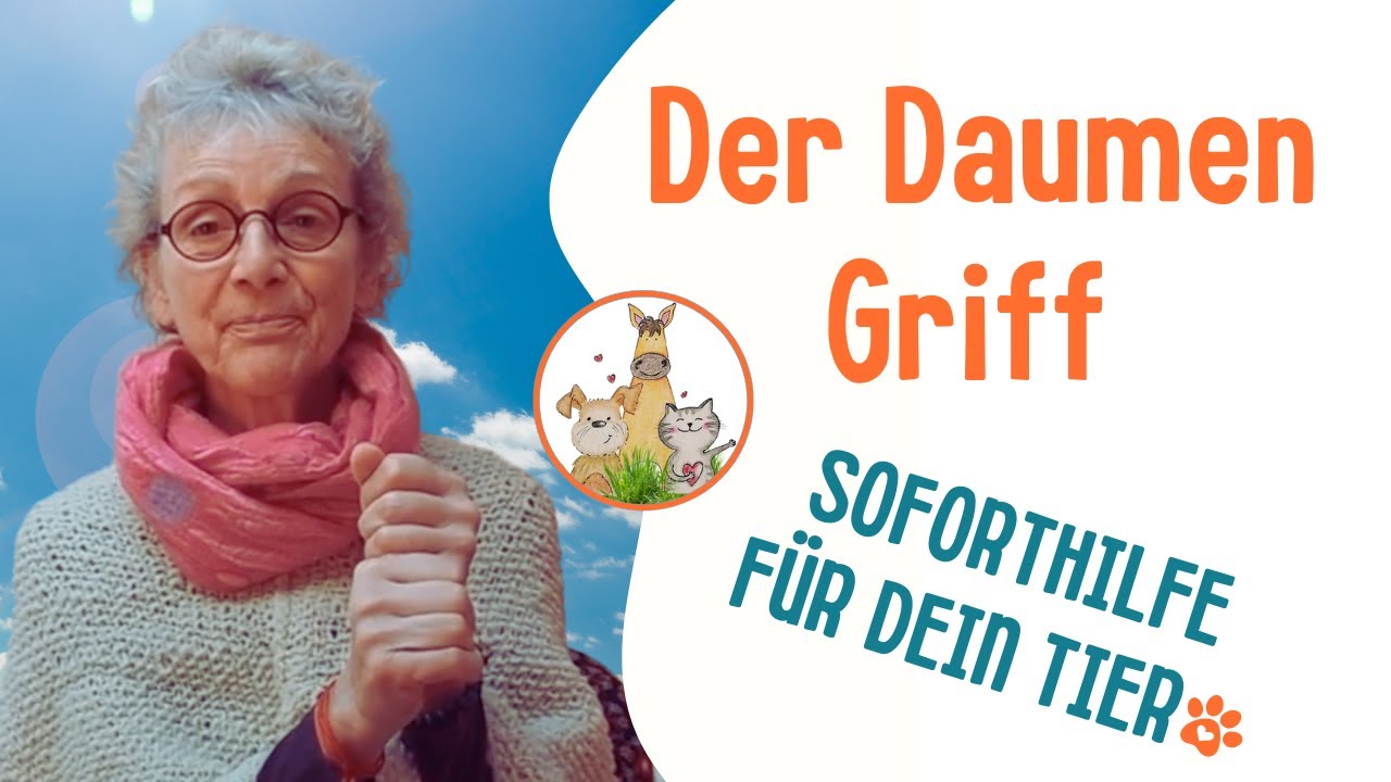 Heile deinen tierischen Freund: Der Daumen im Jin Shin Jyutsu für Tiere
