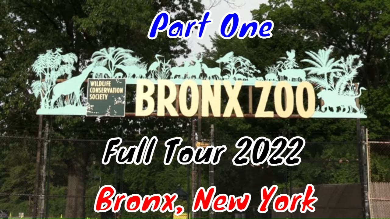 Bronx Zoo Full Tour - Bronx, New York - Part One