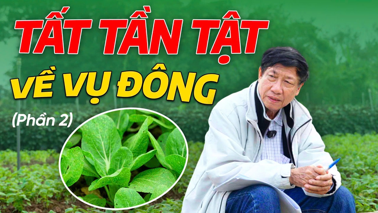 VỤ ĐÔNG MIỀN BẮC “HÁI RA TIỀN”? Trồng gì lãi đậm, tránh mất mùa!