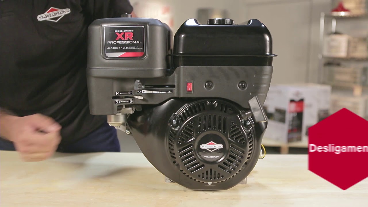 Briggs Explica - Motores XR