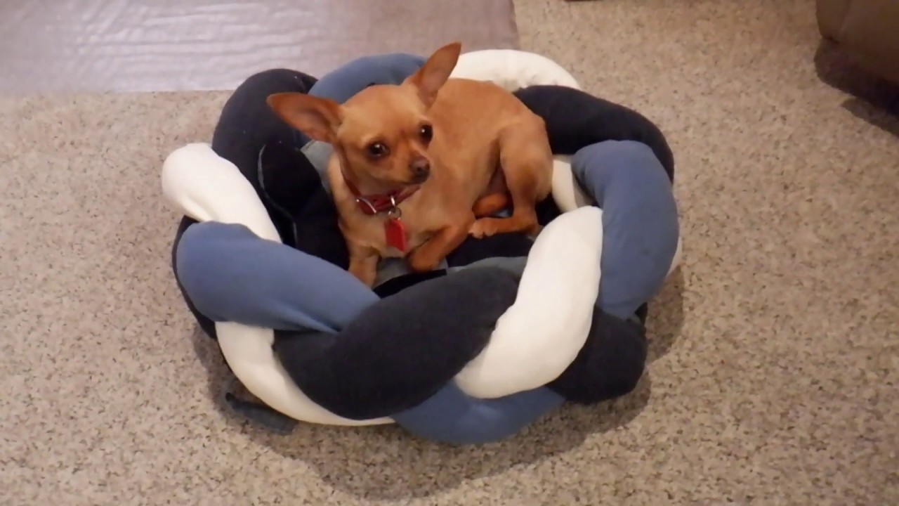 旧衣改造/小狗窝，宠物床/Dog Bed/Making puppy dog bed from old clothes/DIY dog bed Recycling idea