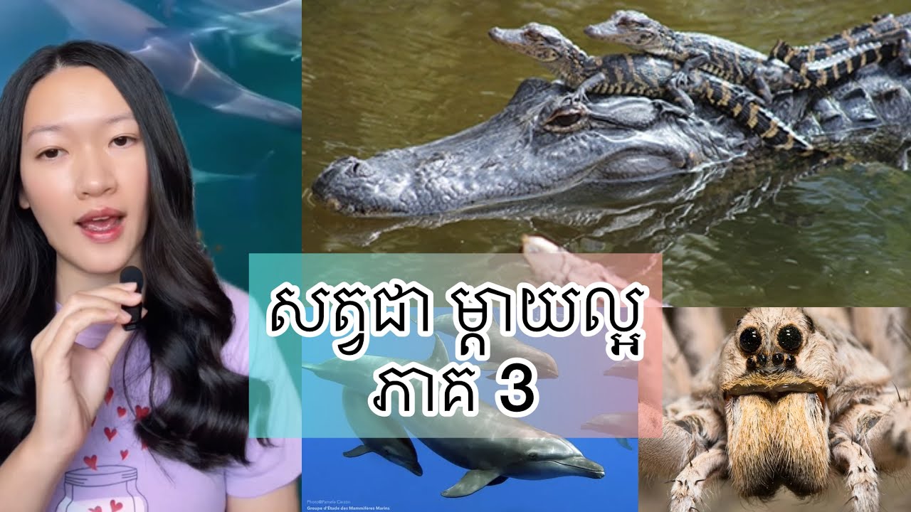 កូនសត្វអត់ចេះគេង រយៈពេល 1 ខែ - Best mom in animal kingdom part 3
