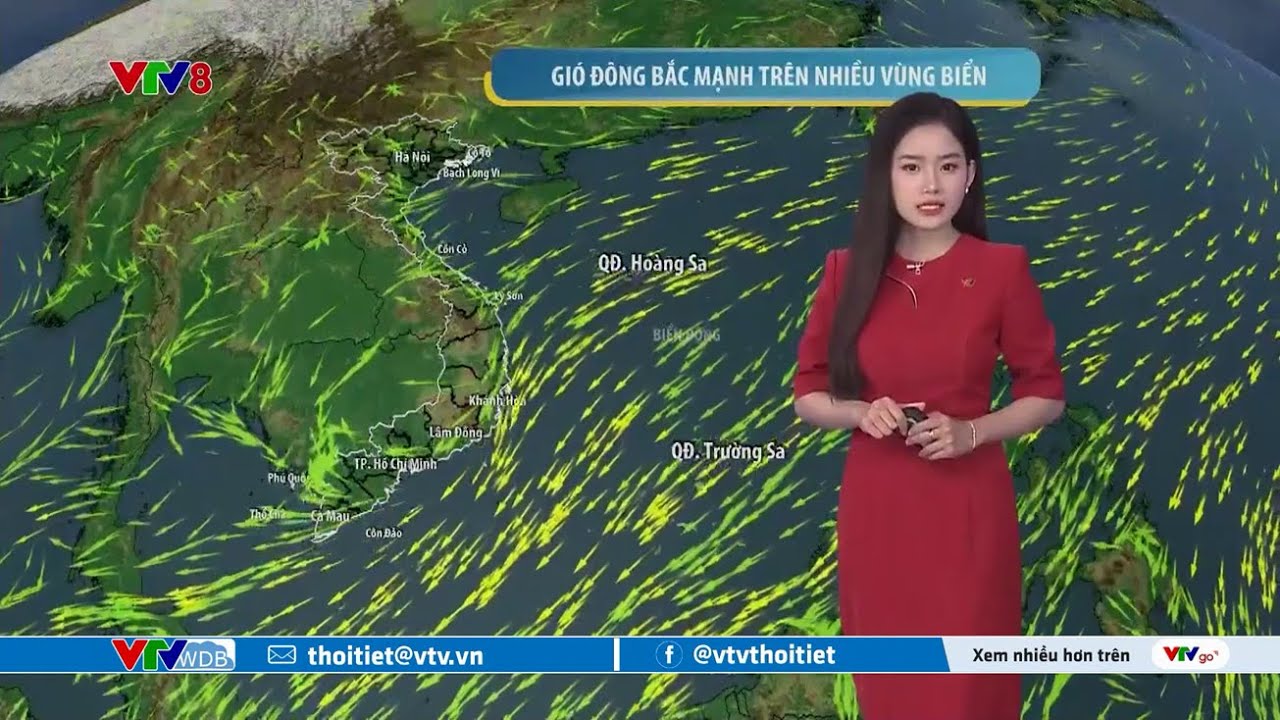 Dự báo thời tiết biển ngày 03/02/2026 | Gió đông bắc hoạt động mạnh | VTVWDB