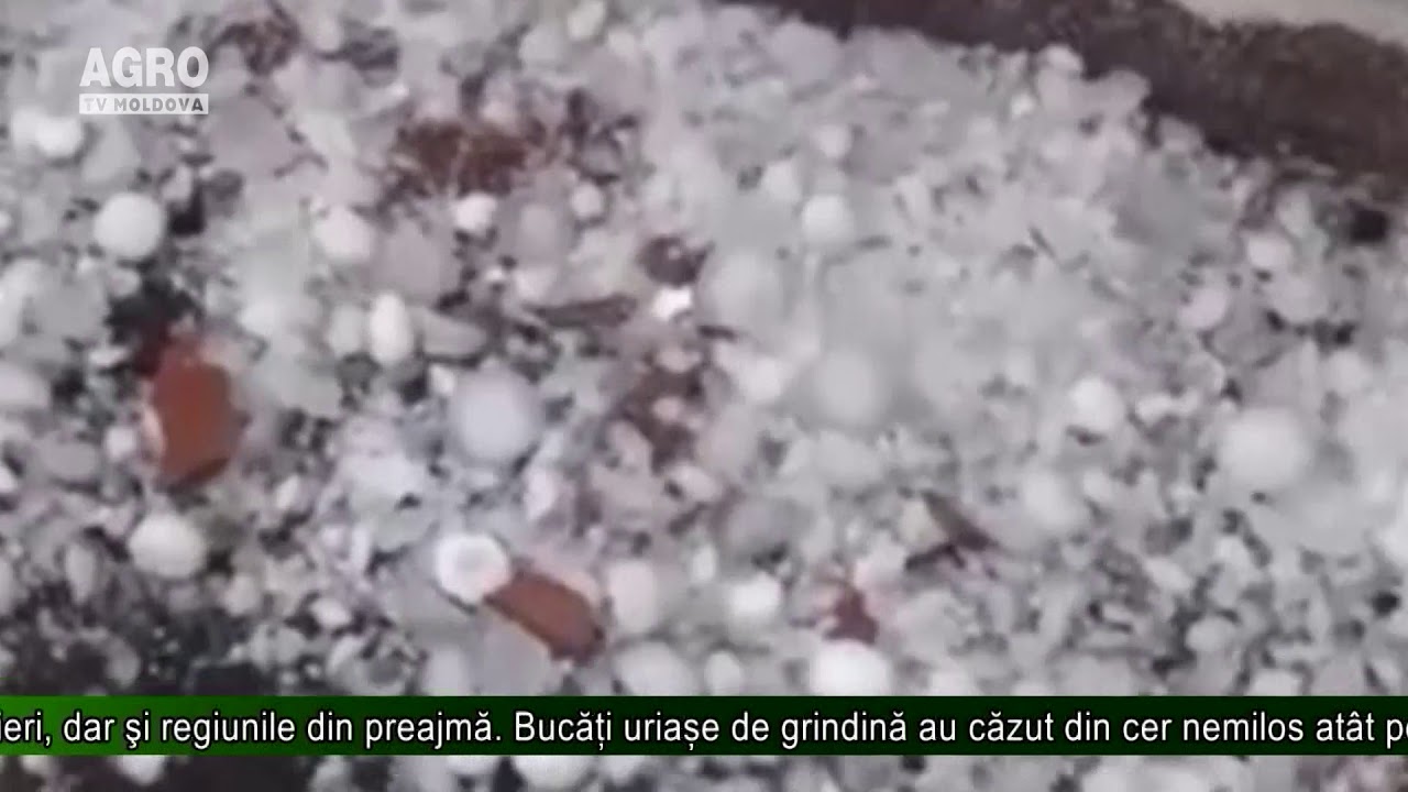 AGRO TV News – Ploaia cu grindină a făcut ravagii în România