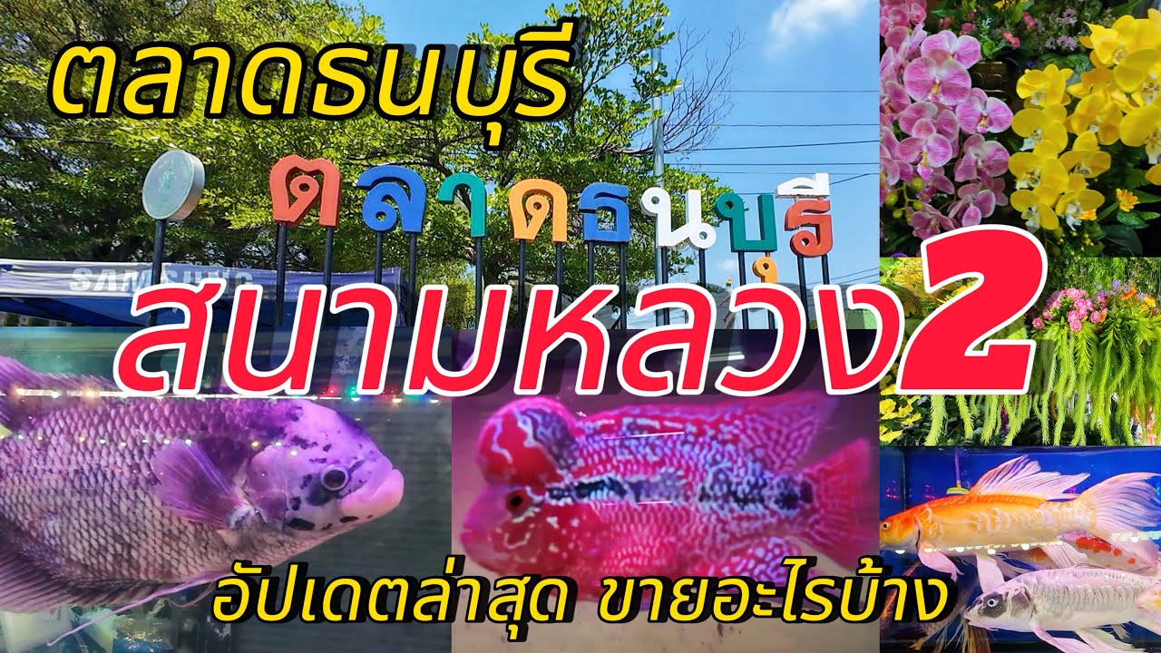 ตลาดธนบุรี…สนามหลวง2!!! เขาขายอะไรบ้าง??? #สนามหลวง2