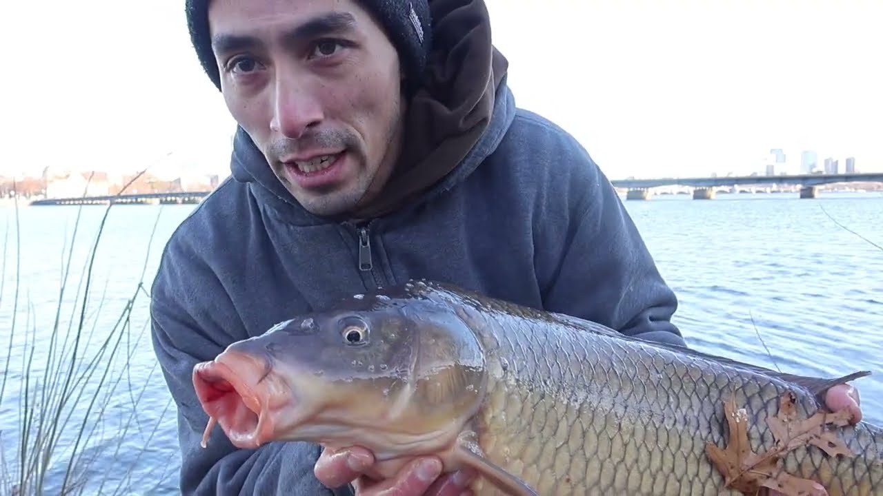 Winter Carp Fishing in Urban Boston (Charles River)