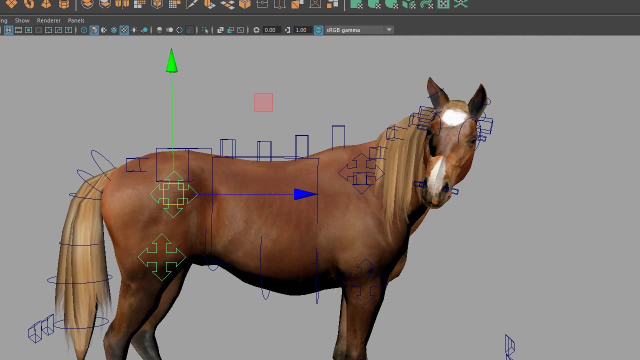 horse rig showcase