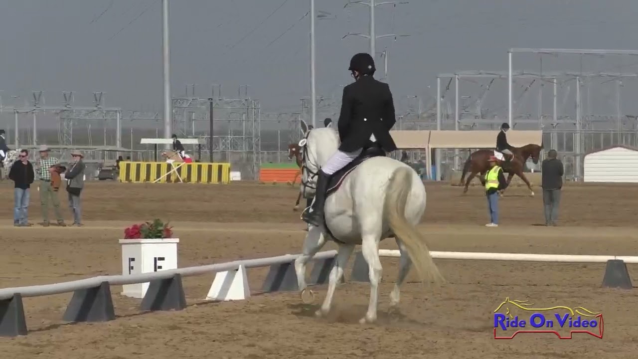 049D Mia MacPhail on Carbonado Senior Training Rider Dressage Ram Tap Nov. 2018