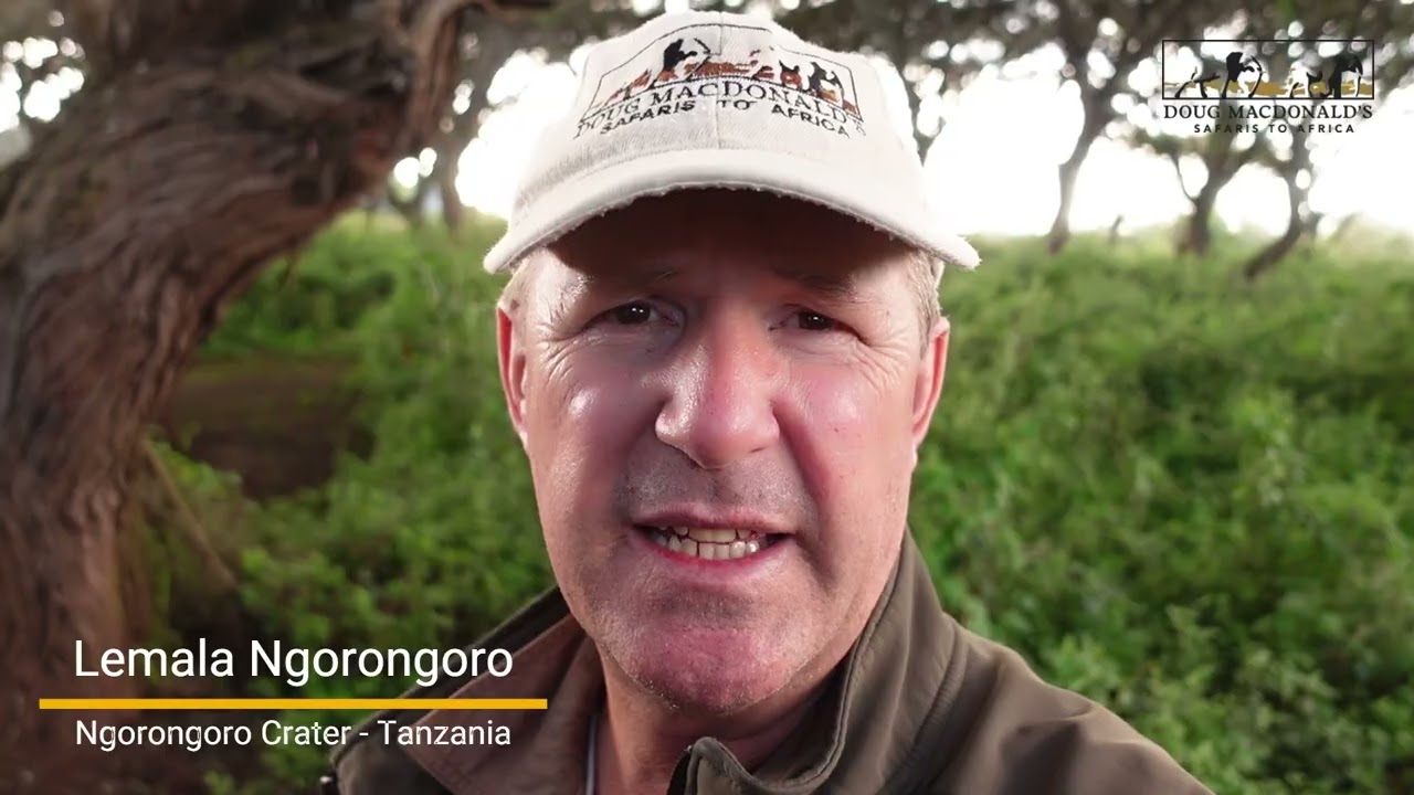 Lemala Ngorongoro - Ngorongoro Crater - Tanzania